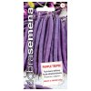 purple teepee 10 g (1)