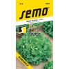 3863 semo zelenina salat listovy dubagold