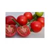 PARADAJKY TAMINA kolíkové