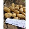 Zemiaky "mini hľúzy" Ranomi morené 1kg
