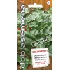 BUSH CHAMPION F1 10 ks Okurka salatova