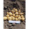 Zemiaky "mini hľúzy" Riviera morené 1kg