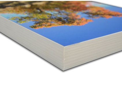 Photo Panel 28x35 cm (11 x 14") White Edge