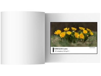 89 mm x 65 m | SERIES230 Lustre | 1 rola