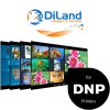 DiLand Kiosk 2 DNP