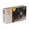 Fox Ammunition 30 06 180gr front