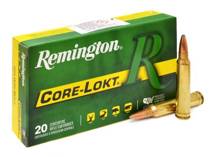 .300WinMag Remington Core Lokt 180gr 11%2C66g Pointed SP 29497