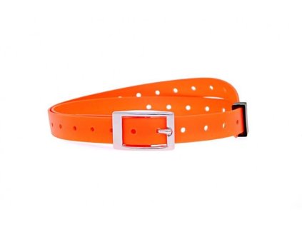 20170502190221 oranRZovUU