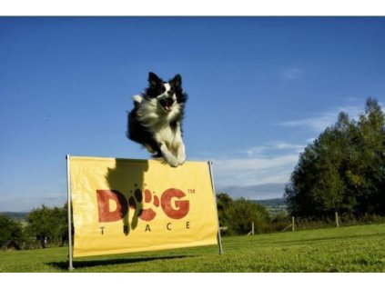 dogtrace 710 1