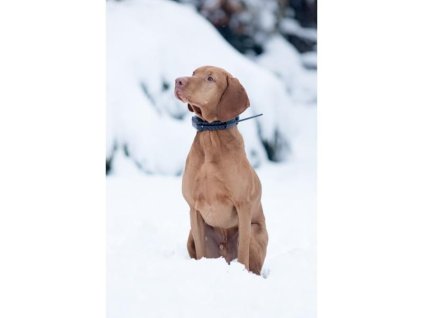 20171303140341 obojok