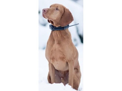 20171303150349 GPSobojok