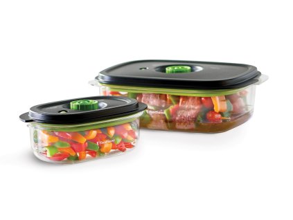 foodsaver fresh 2 in 1 1