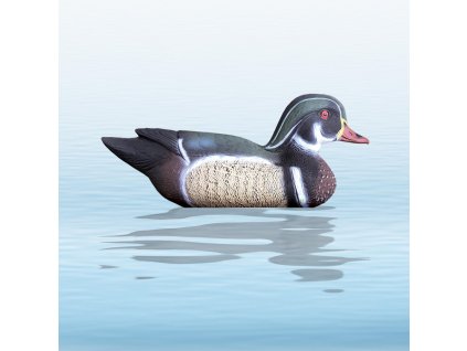 balaban kacica drevena