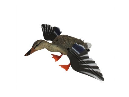 balaban kacica diva sliepka s baterkami