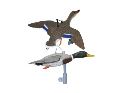 balaban set kacica sliepka a kohut