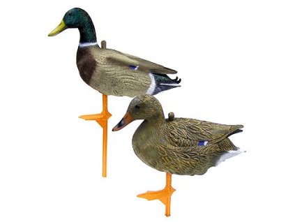 set balaban mallard kacica diva sliepka kohut