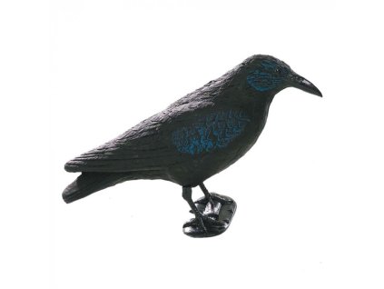 balaban vrana s nohami