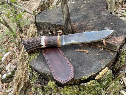 2022 04 28 18 49 IMG 3199 1