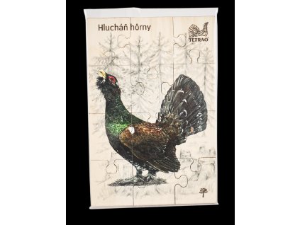 Puzzle do vrecka TETRAO - tetrov