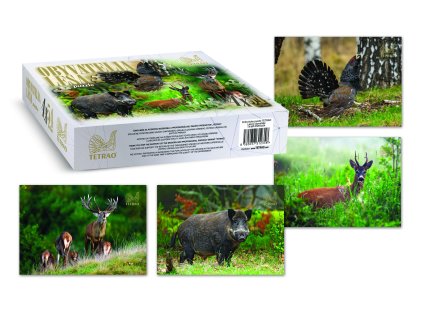 puzzle 4x54 dielikov