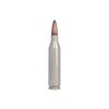 .243Win 2. Federal Premium Nosler Partition 100gr 6%2C48g P243E a