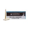 .300 Win Mag. Federal Power Shok 150gr 9%2C72g Speer Hot Cor SP 300WGS a