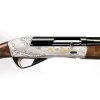 benelli raffaello AI BEST limited edition 12 b