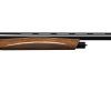 benelli raffaello black A.I. 12 c