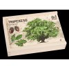 Vzdelávacie tripexeso TETRAO - lesné dreviny, 24 dielikov