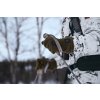 Vyhrievané rukavice Härkila Clim8 HWS S (Hide weapon Nie, For professionals Nie, Veľkosť S)
