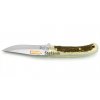 346 1 puma ip catamount stag puzdro