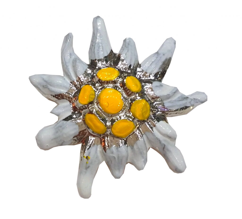 odznak-plesnivec-biely