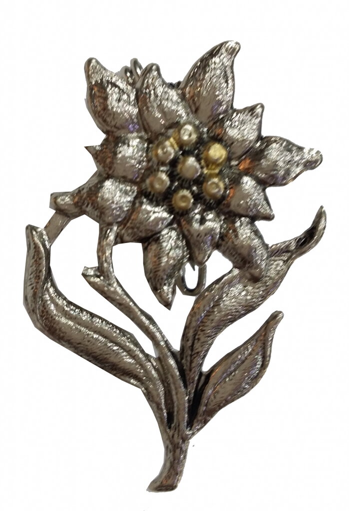 odznak-plesnivec-so-stopkou