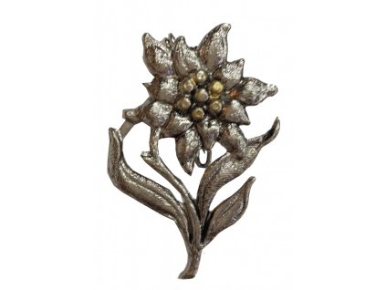 171228 odznak plesnivec so stopkou