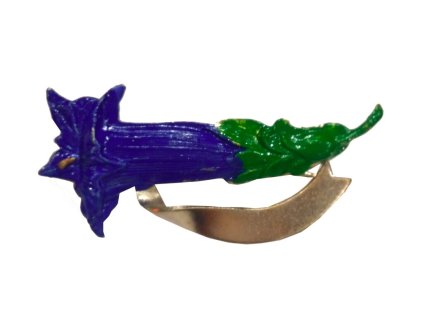 171231 odznak encian