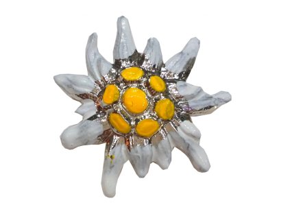 171336 odznak plesnivec velky biely