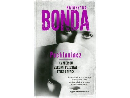 Pochłaniacz