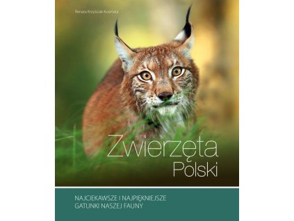 Zwierzęta Polski