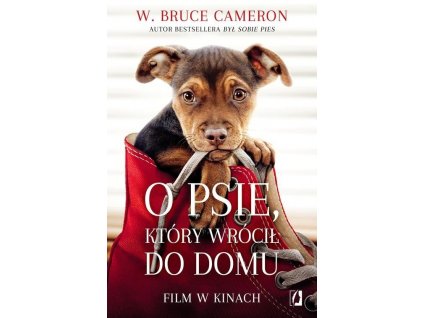 O psie który wrócił do domu