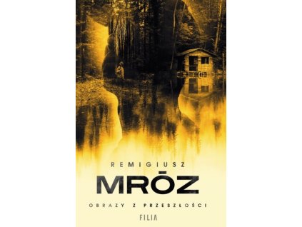 obrazy z przeszlosci mroz remigiusz b9788384023242