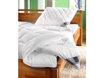 Faser Billerbeck Basic