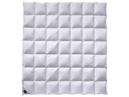 Daunendecke Weiss 200x200 7x7 800x600