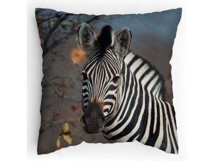 00900100004 Zebra