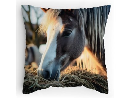 00900100061 Polstářek s potiskem Pony