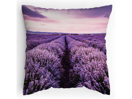00700100019 Levandulové pole