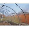 Zahradní skleník z polykarbonátu Gardentec Classic T (Rozměr 2 x 3 m, Varianta Gardentec Classic T)