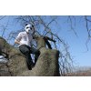 Papírová maska panda na stromě