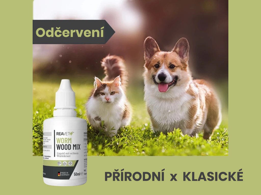 Odčervení psa a kočky: Je opravdu potřeba odčervovat pravidelně?