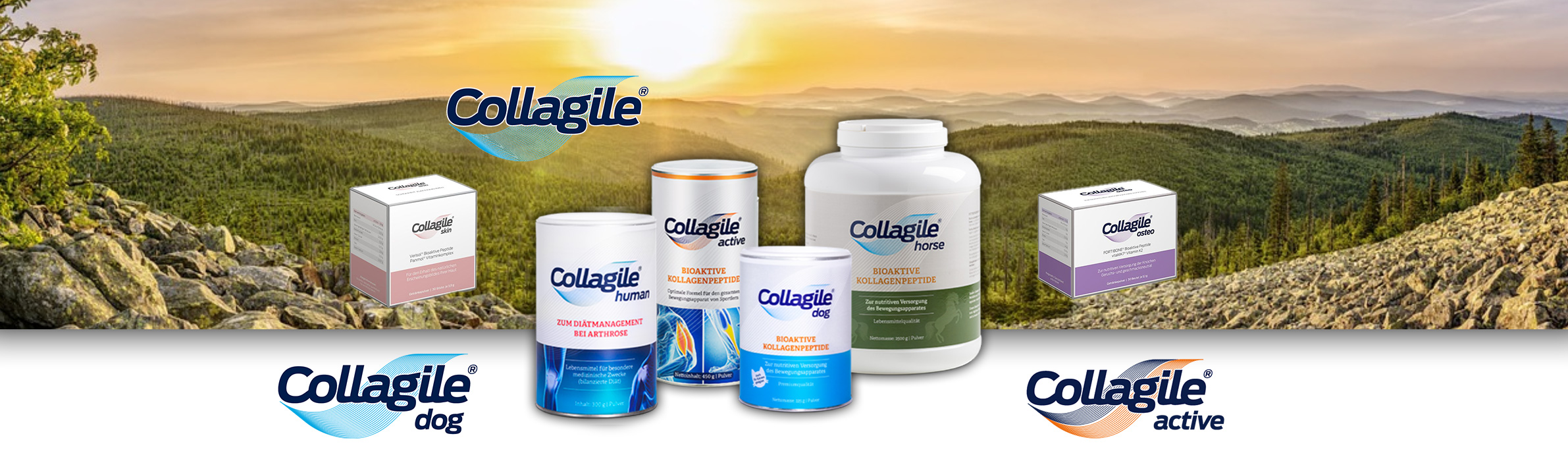 Collagile