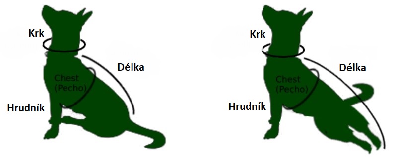 Velikosti